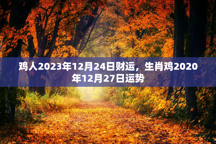 鸡人2023年12月24日财运，生肖鸡2020年12月27日运势