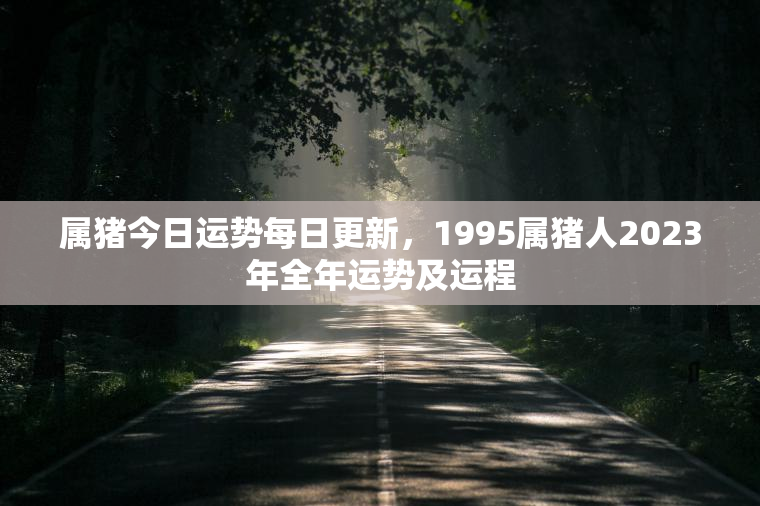 属猪今日运势每日更新，1995属猪人2023年全年运势及运程  第1张