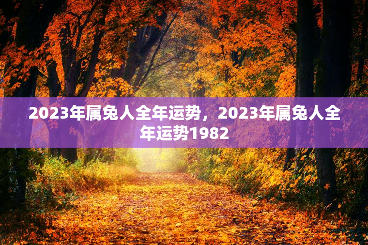 2023年属兔人全年运势，2023年属兔人全年运势1982