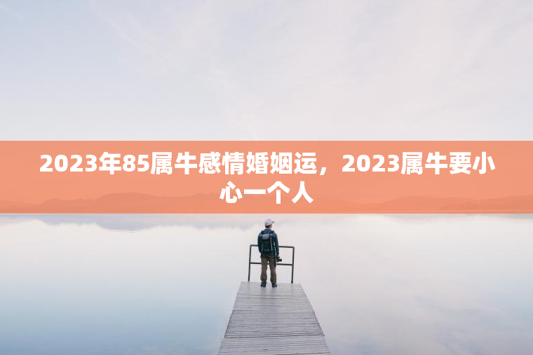 2023年85属牛感情婚姻运，2023属牛要小心一个人