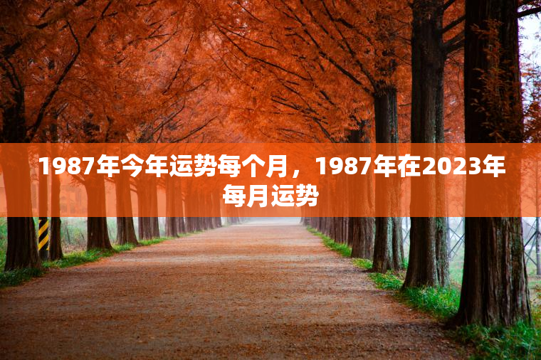 1987年今年运势每个月，1987年在2023年每月运势