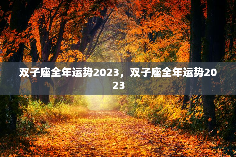 双子座全年运势2023，双子座全年运势2023