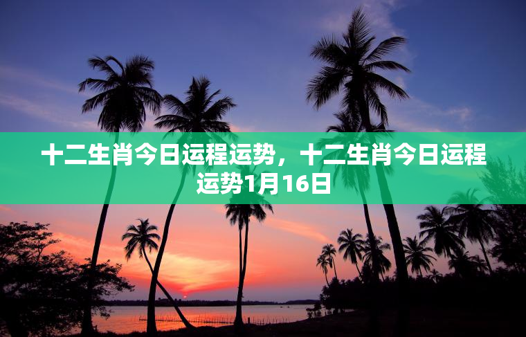 十二生肖今日运程运势，十二生肖今日运程运势1月16日  第1张