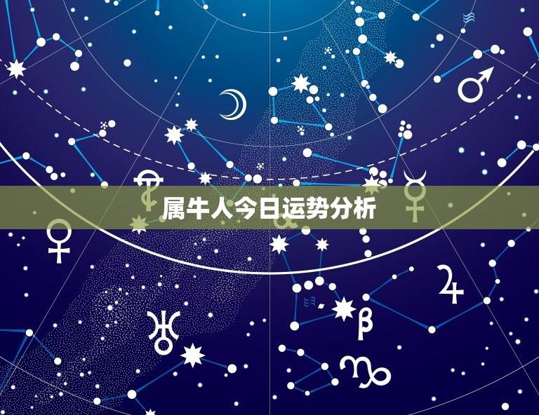 属牛人今日运势分析（2023年6月5日）