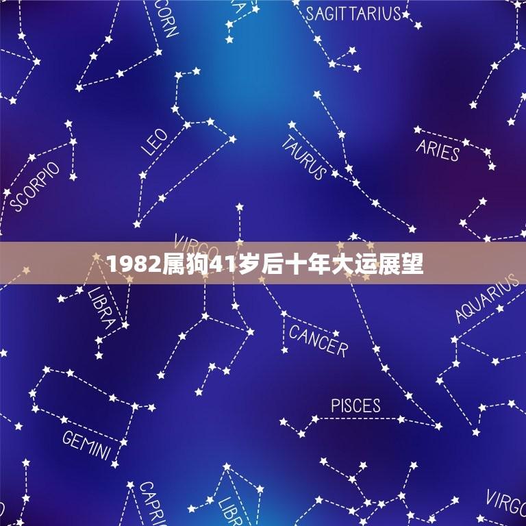 1982属狗41岁后十年大运展望（掌握先机，把握前程）