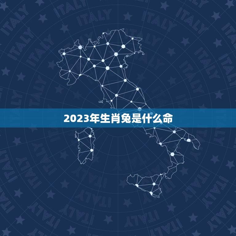 2023年生肖兔是什么命(详解兔年运势和兔年命运)