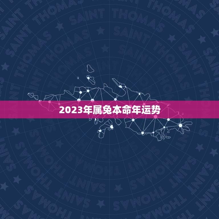 2023年属兔本命年运势(分析属兔人士2023年的运势)