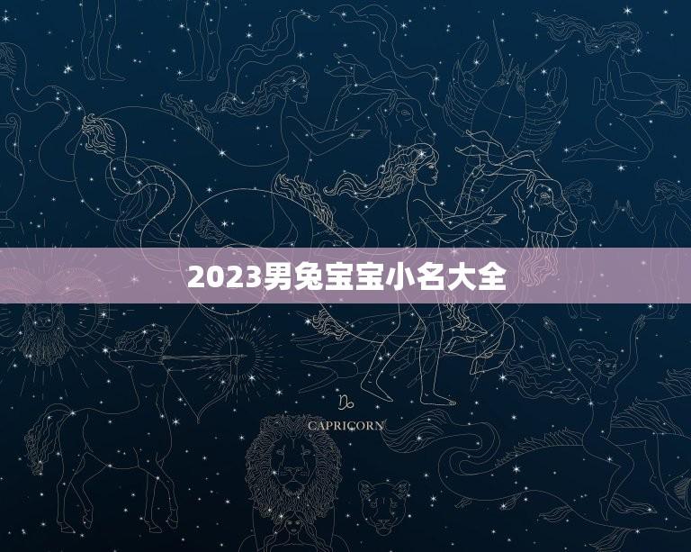 2023男兔宝宝小名大全(给你最可爱的兔子命名灵感)