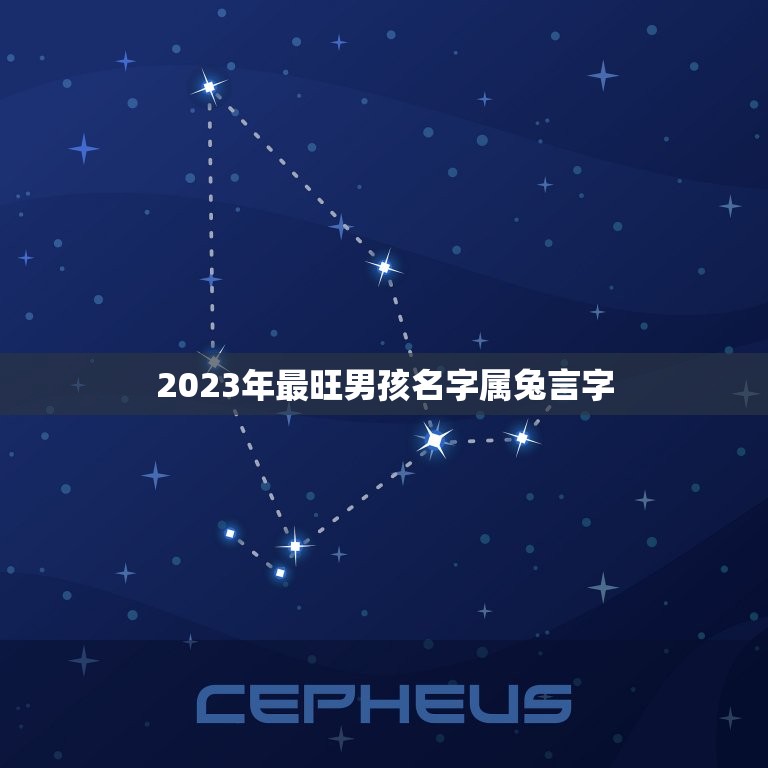 2023年最旺男孩名字属兔言字(介绍属兔男孩的命名要点)