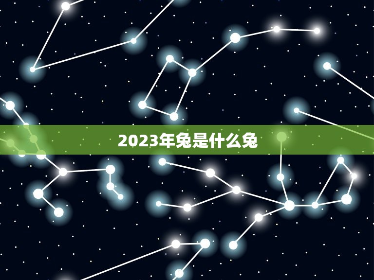 2023年兔是什么兔 哪几约好(详解兔年运势及吉日吉时)