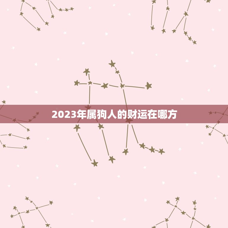 2023年属狗人的财运在哪方(介绍属狗人的运势和财富走向)