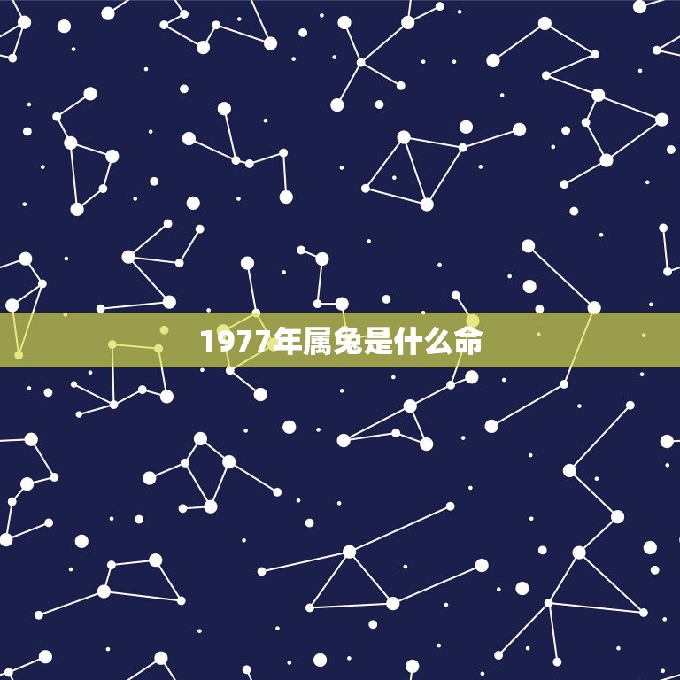 1977年属兔是什么命(详解属兔人的性格和命运)