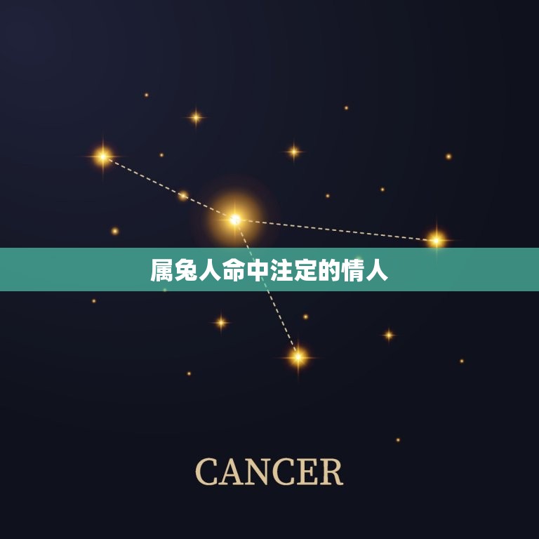 属兔人命中注定的情人(介绍星座配对，找到你的真爱)