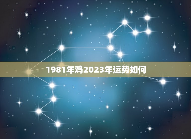 1981年鸡2023年运势如何(未来三年运势展望)