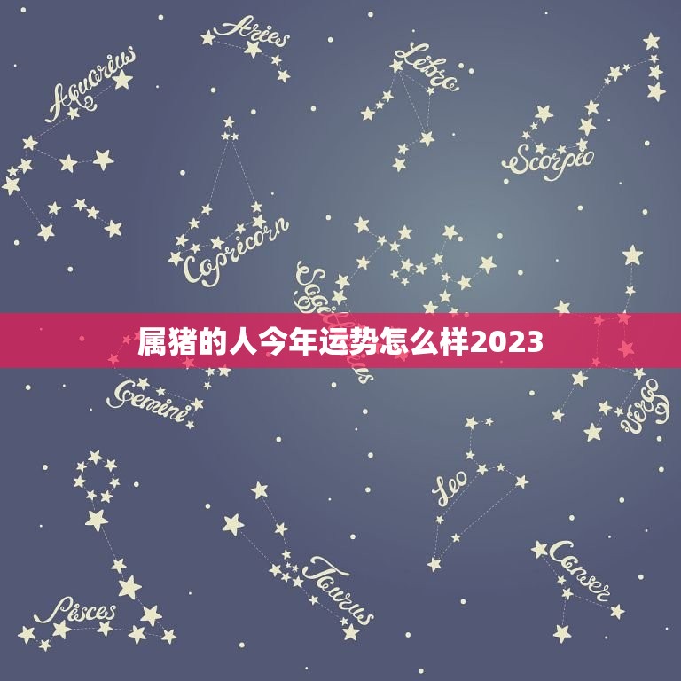 属猪的人今年运势怎么样2023(猪年大吉财运亨通)