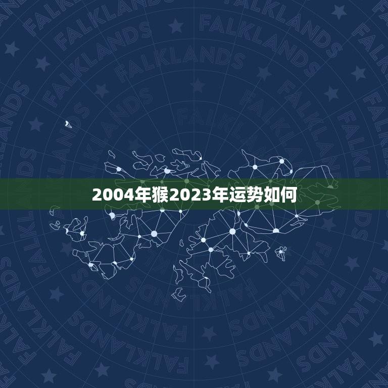 2004年猴2023年运势如何(猴年大展宏图未来可期)