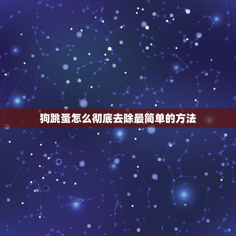 狗跳蚤怎么彻底去除最简单的方法(无毒、环保、高效的解决方法)