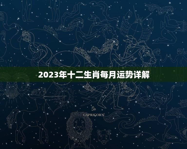 2023年十二生肖每月运势详解(十二生肖2023年运势大介绍)