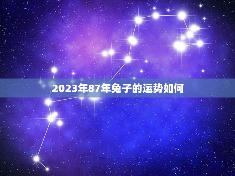 2023年87年兔子的运势如何(未来三年财运顺畅但需注意健康问题)