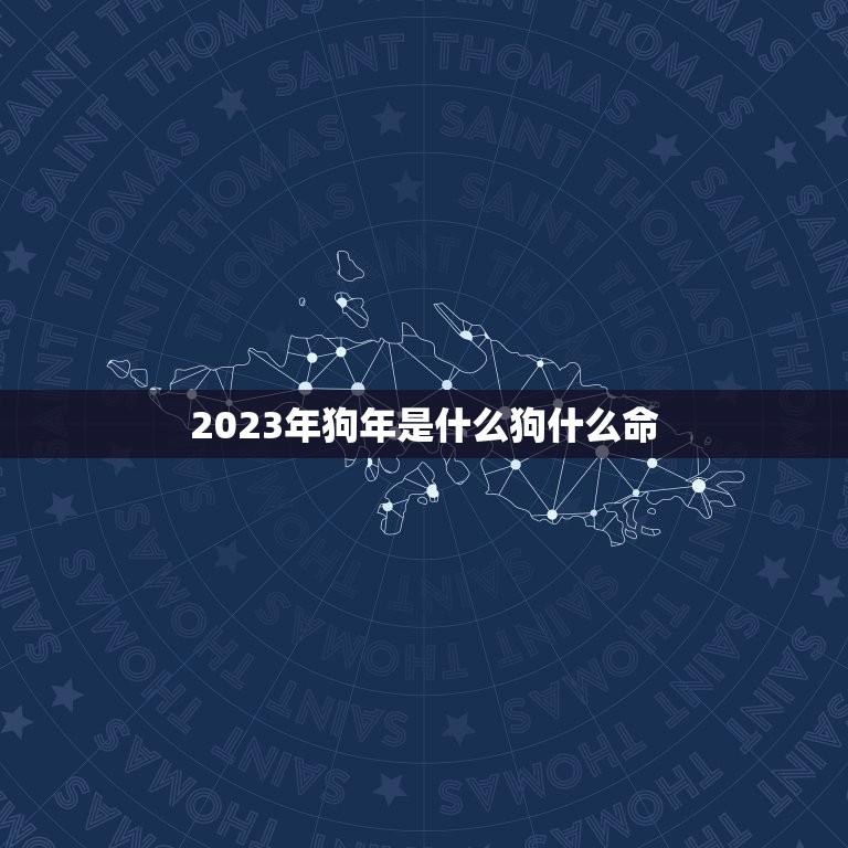 2023年狗年是什么狗什么命(介绍2023年出生的狗狗命运)