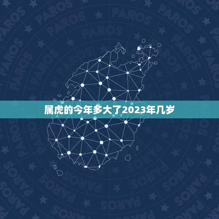 属虎的今年多大了2023年几岁(属虎人士如何应对未来两年的生肖运势)