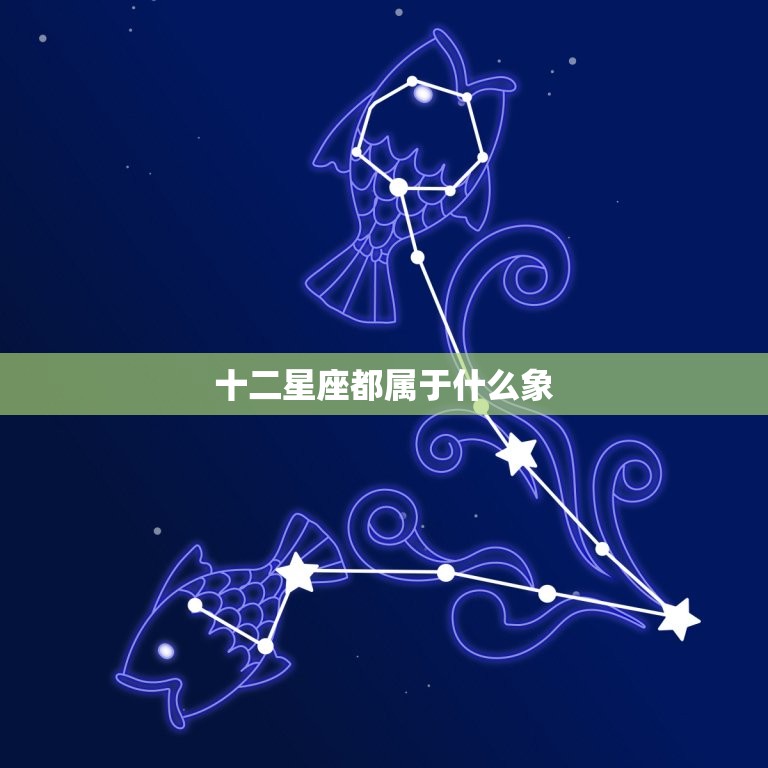 十二星座都属于什么象