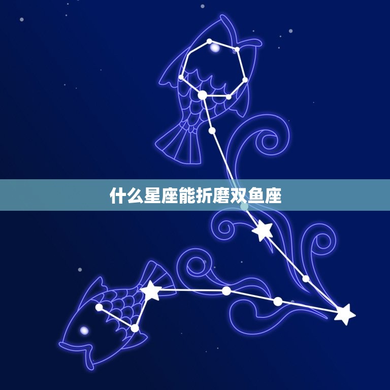 摩羯座的克星是狮子座