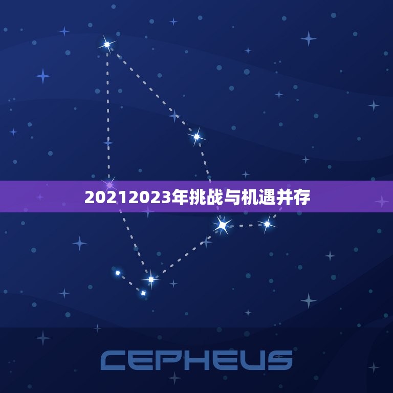 20212023年挑战与机遇并存