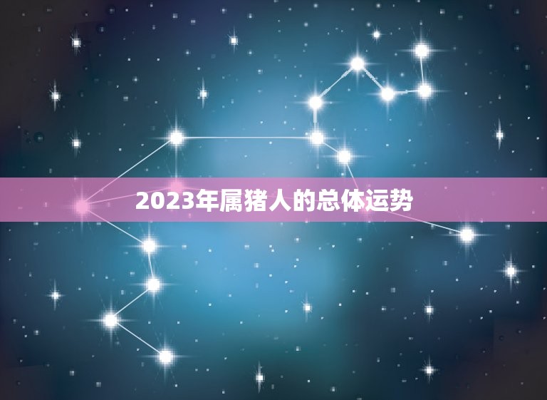 2023年属猪人的总体运势