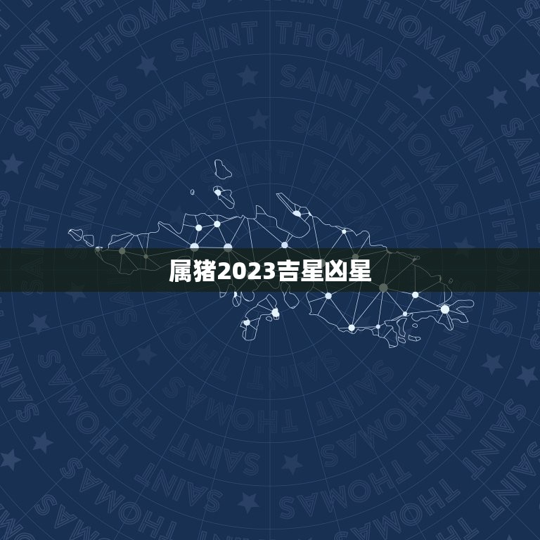 属猪2023吉星凶星