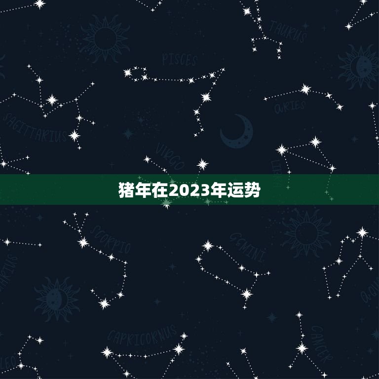 猪年在2023年运势