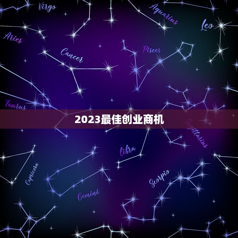 2023最佳创业商机