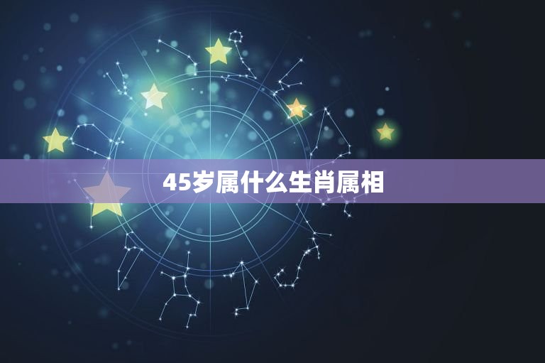 45岁属什么生肖属相