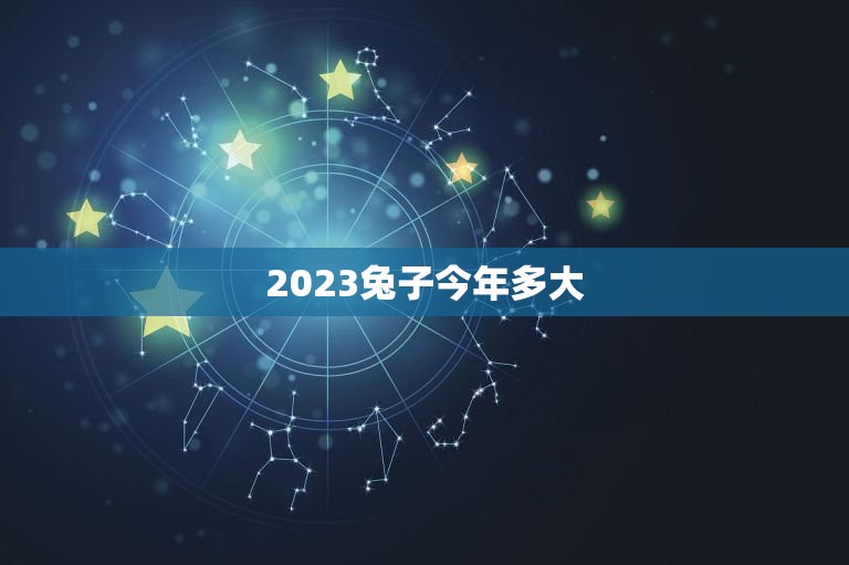 2023兔子今年多大