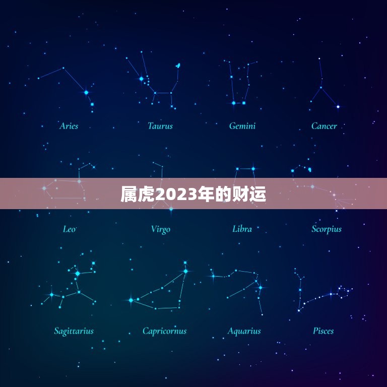 属虎2023年的财运