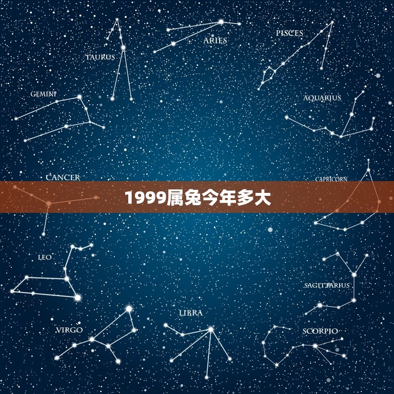 1999属兔今年多大