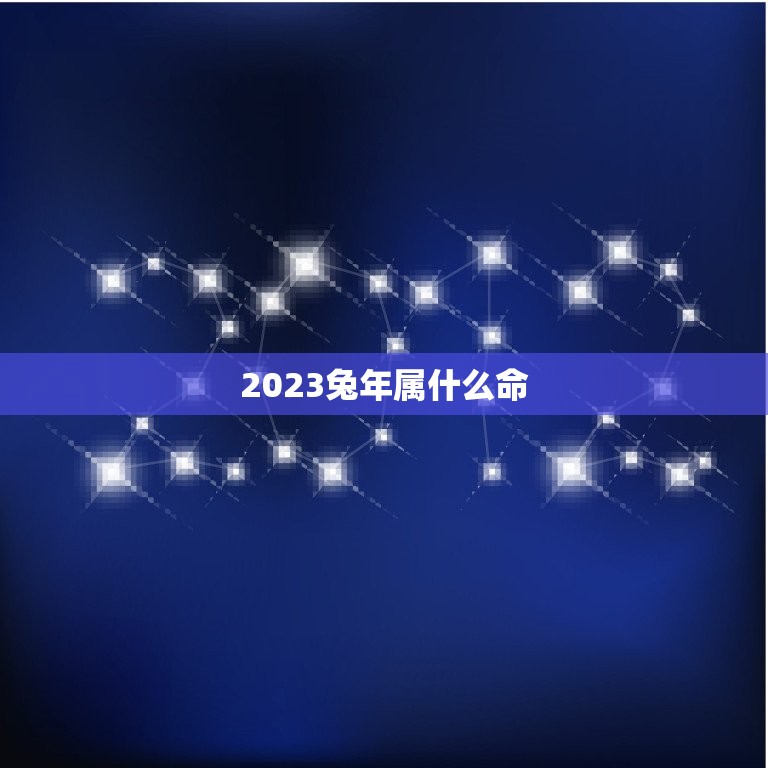 2023兔年属什么命