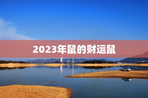 2023年鼠的财运鼠