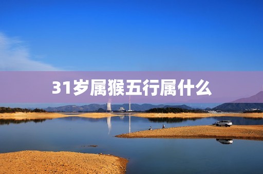 31岁属猴五行属什么