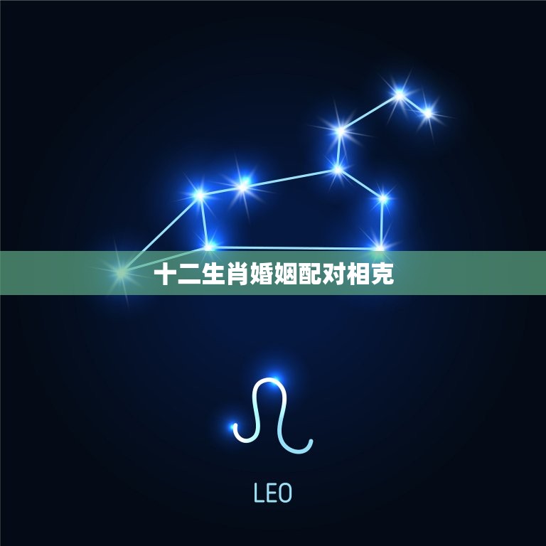 十二生肖婚姻配对相克(如何避免婚姻矛盾)  第3张