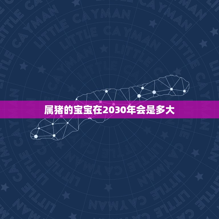 属猪的宝宝在2030年会是多大