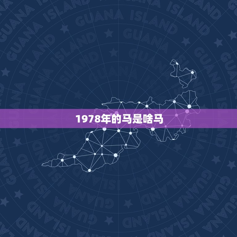 1978年的马是啥马