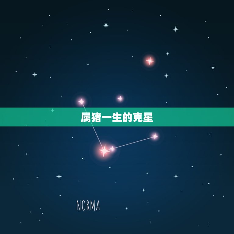 属猪一生的克星