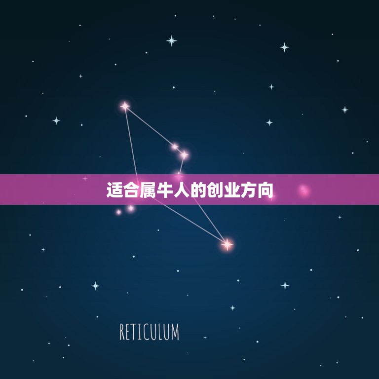 适合属牛人的创业方向