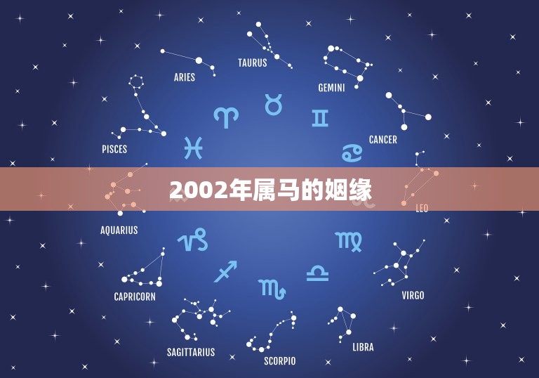 2002年属马的姻缘