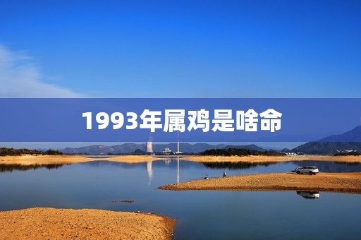 1993年属鸡是啥命