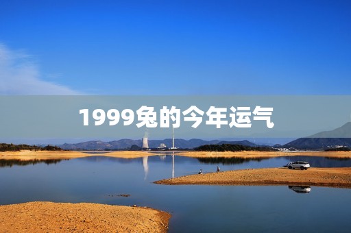 1999兔的今年运气