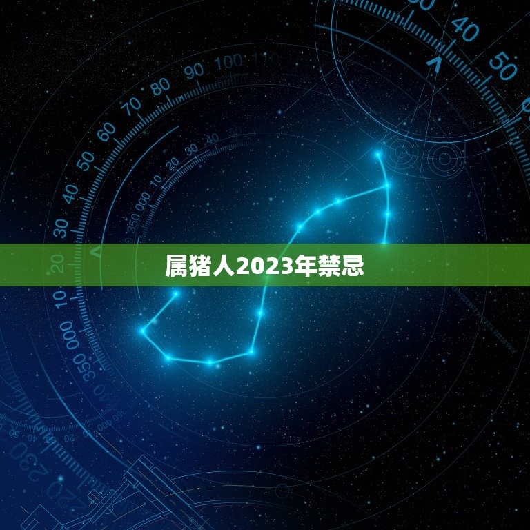 属猪人2023年禁忌