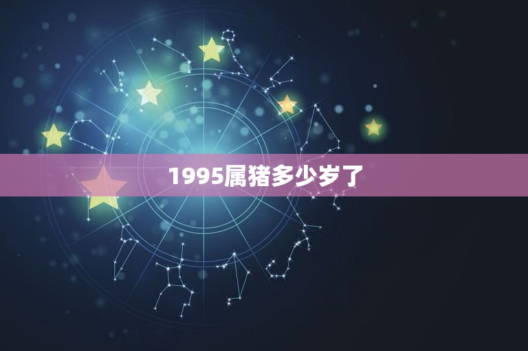 1995属猪多少岁了