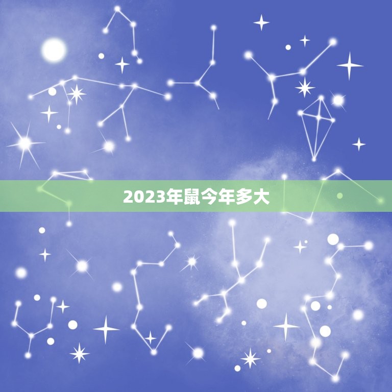 2023年鼠今年多大